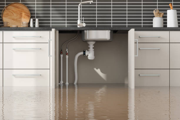 Best Basement water damage restoration  in Circleville, OH